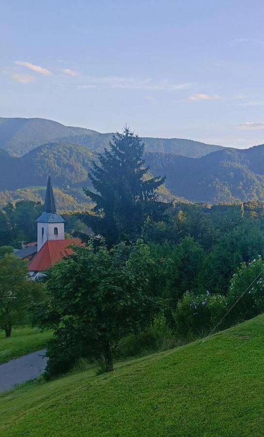 Apartmaji Borstner Vransko Extérieur photo